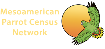 Mesoamerican Parrot Census Network Logo