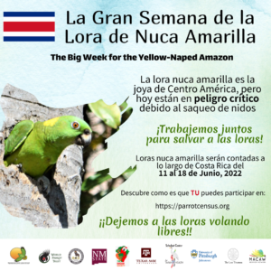 YNA_Big_Day_Espanol