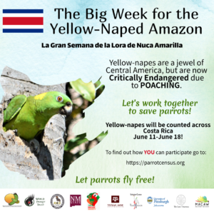 YNA_Big_Week_English